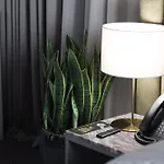 فندق Padam Boutique تيرانا
