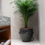 Padam Boutique تيرانا