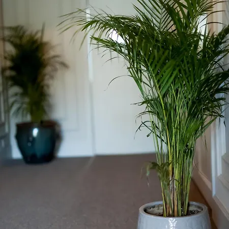 Padam Boutique מלון