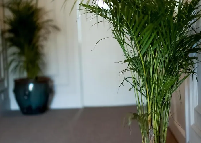 Padam Boutique Hotel